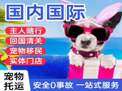 扎兰屯机场货运国际宠物托运 【国